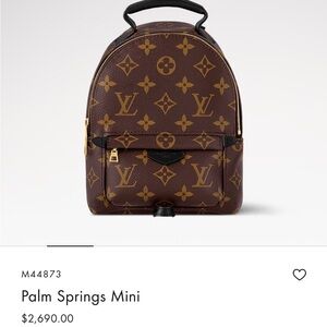 Louis Vuitton Palm Springs Mini Backpack - Brown Monogram